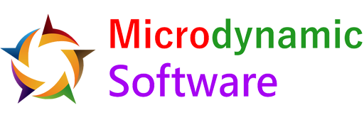 Website Development Company in Pune by Microdynamic Software